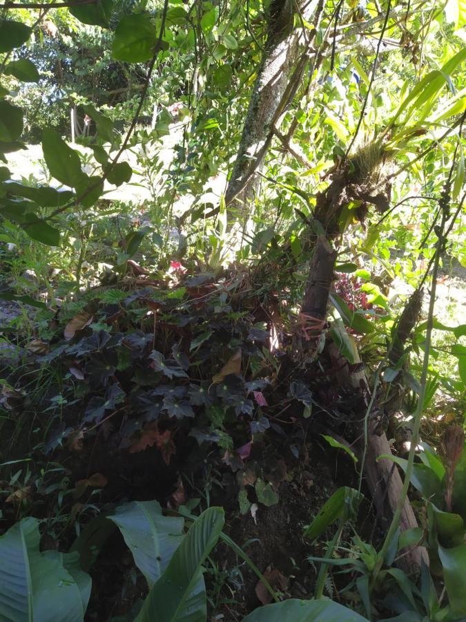 Eco Aldea Topacio Сасайма Экстерьер фото