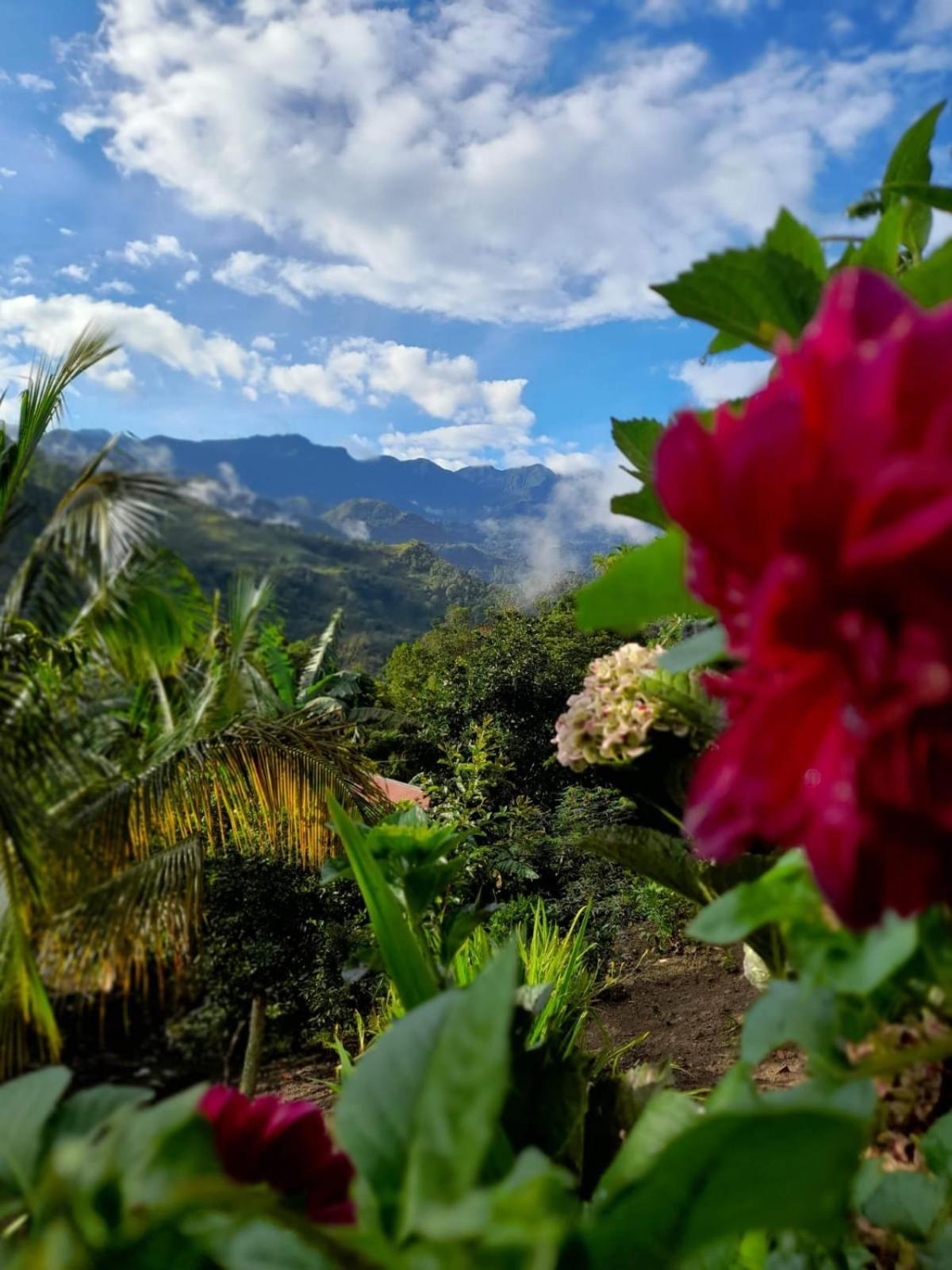 Eco Aldea Topacio Сасайма Экстерьер фото